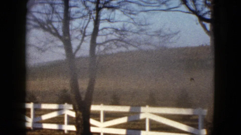 A bare tree stands before a white rail fence and dry grass, with the farmhouse mostly out of frame during the pan.