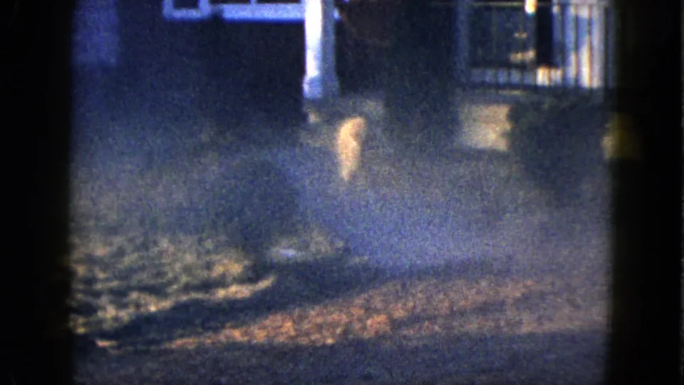 1958 Las Vegas home-movie frame of a small light-colored dog moving quickly across a dusk front yard.