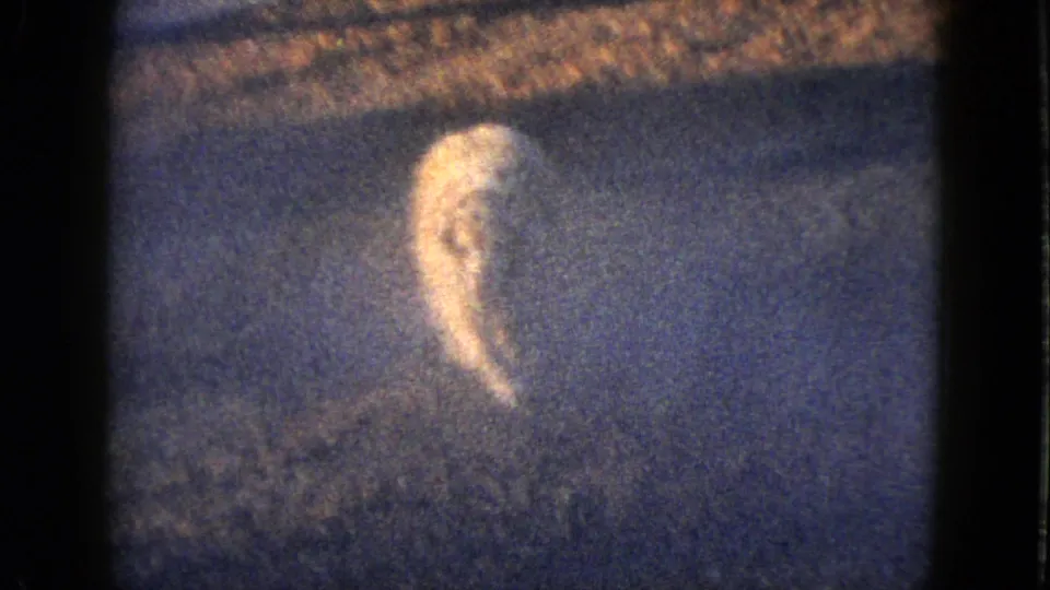 1958 Las Vegas frame showing the dog closer to camera in a grainy, dusk-lit front yard.