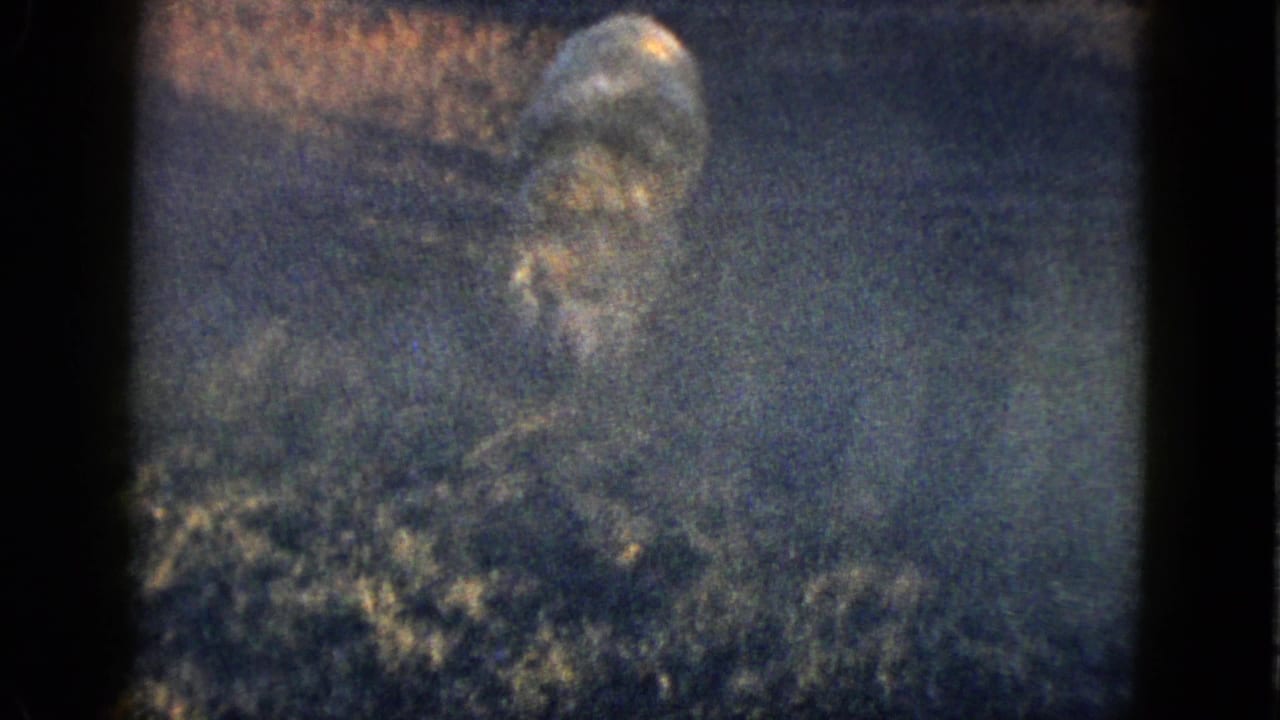 Dim rounded animal-like form partly visible in a dark outdoor frame.