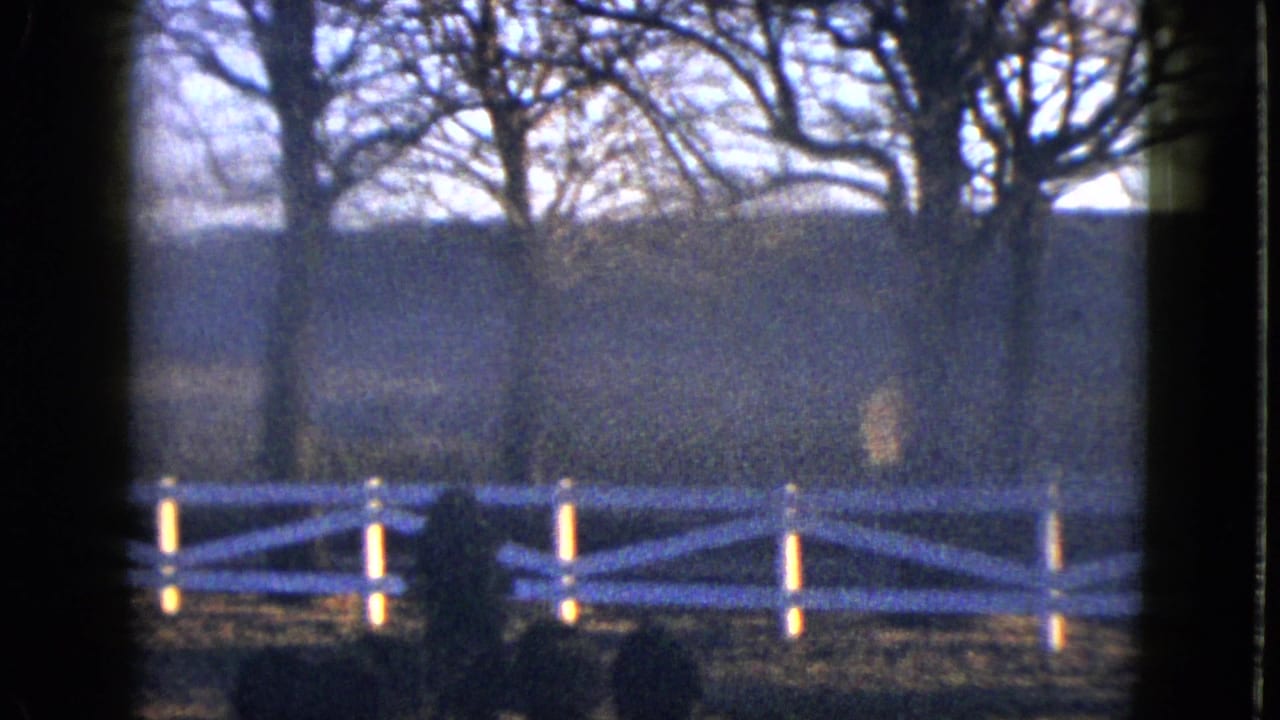 Dark window frame around a white fence, bare trees, and a distant hillside.