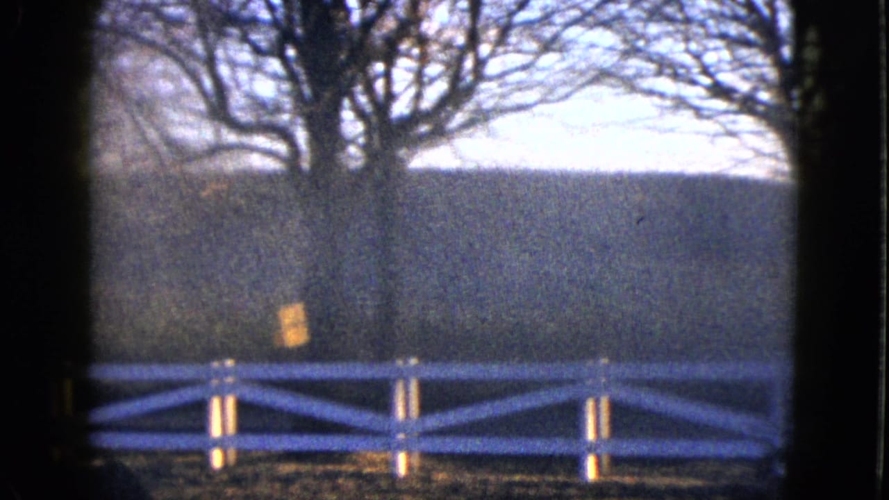 White fence and bare trees seen through a dark frame with a small warm light patch.