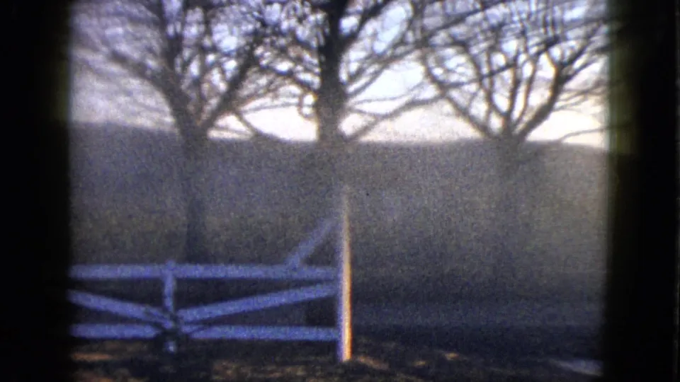 1958 Las Vegas-area 8mm view of the fence end, vertical post, bare trees, and hazy hillside in warm light.