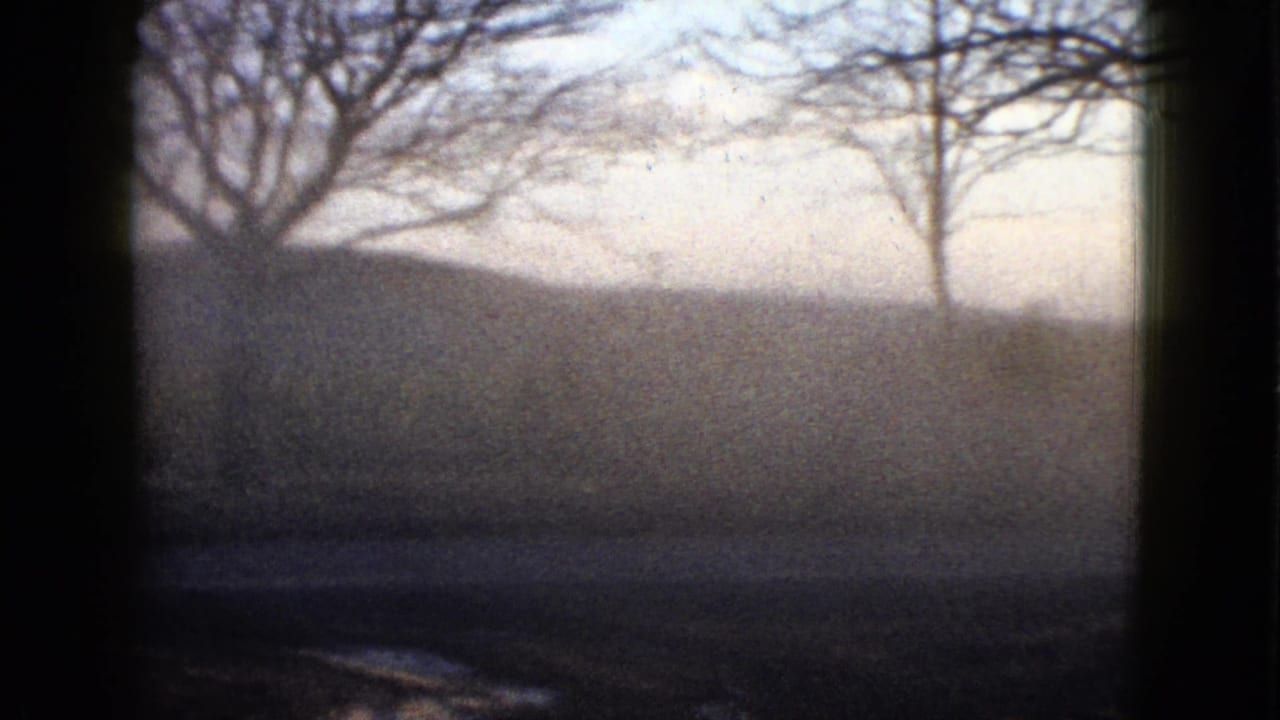 1958 8mm frame with bare tree silhouettes, a dim field, hazy sky, and dark vertical borders suggesting a window-framed view.