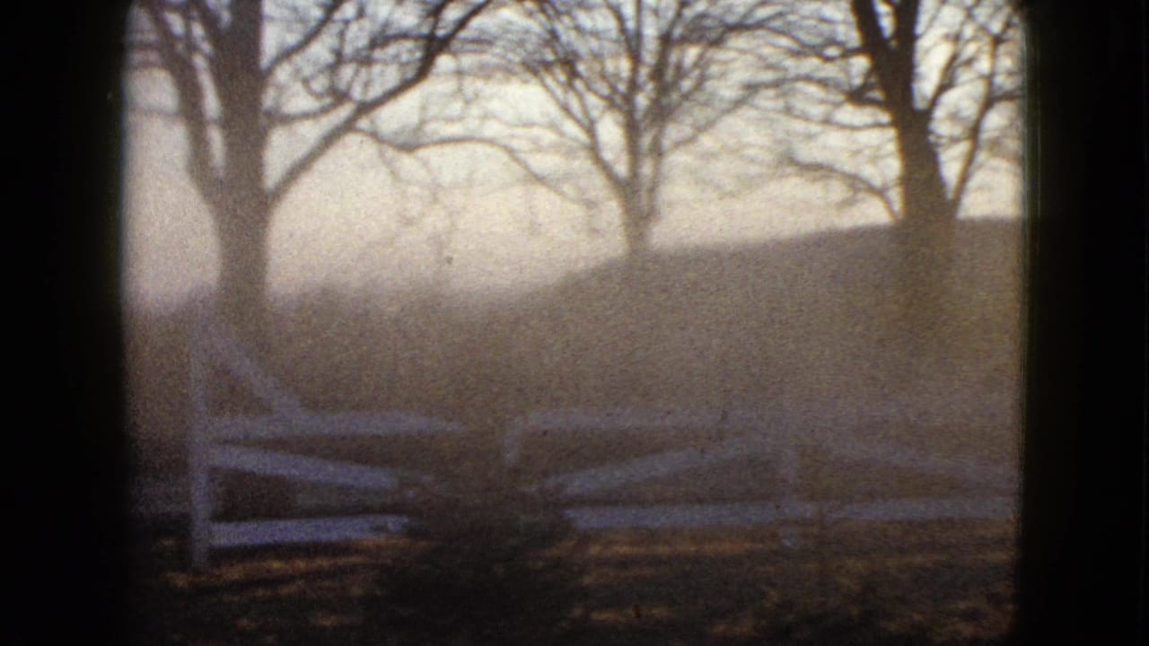 Foggy roadside with bare trees and a white fence seen through dark film-frame edges.
