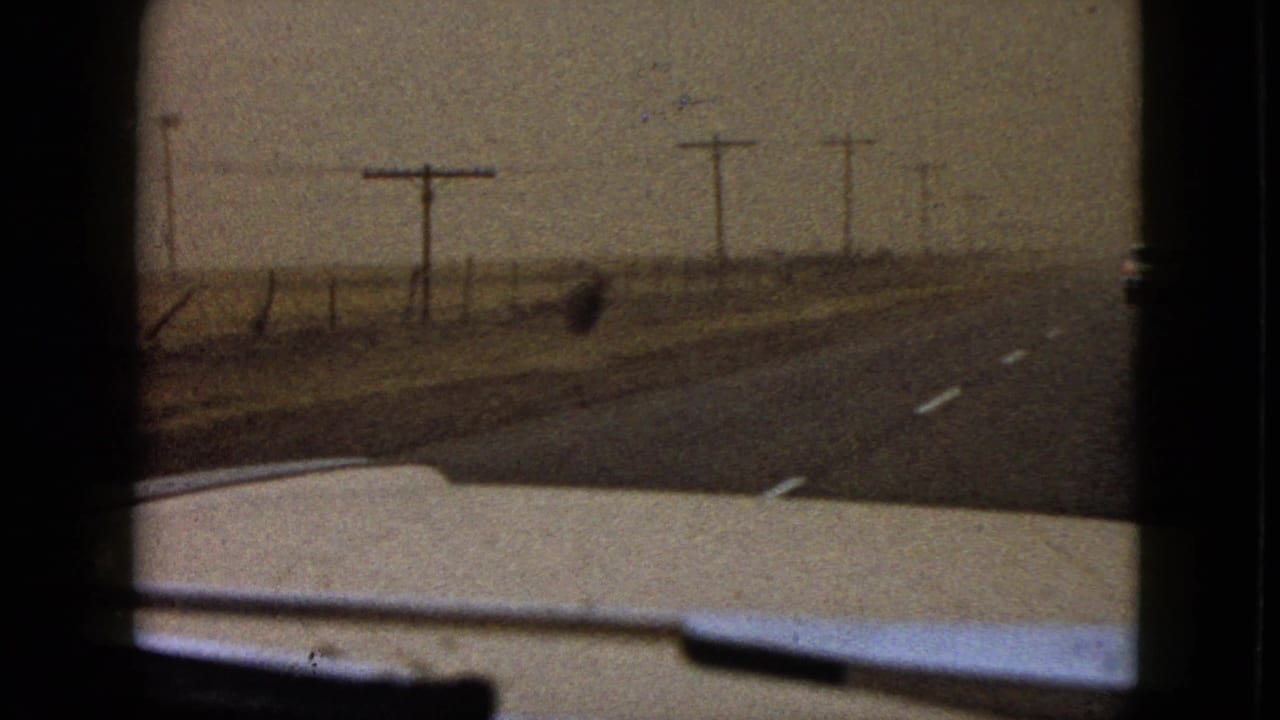Windshield view from a moving car on a foggy rural road near Las Vegas, with telephone poles and a small dark animal shape ahead.