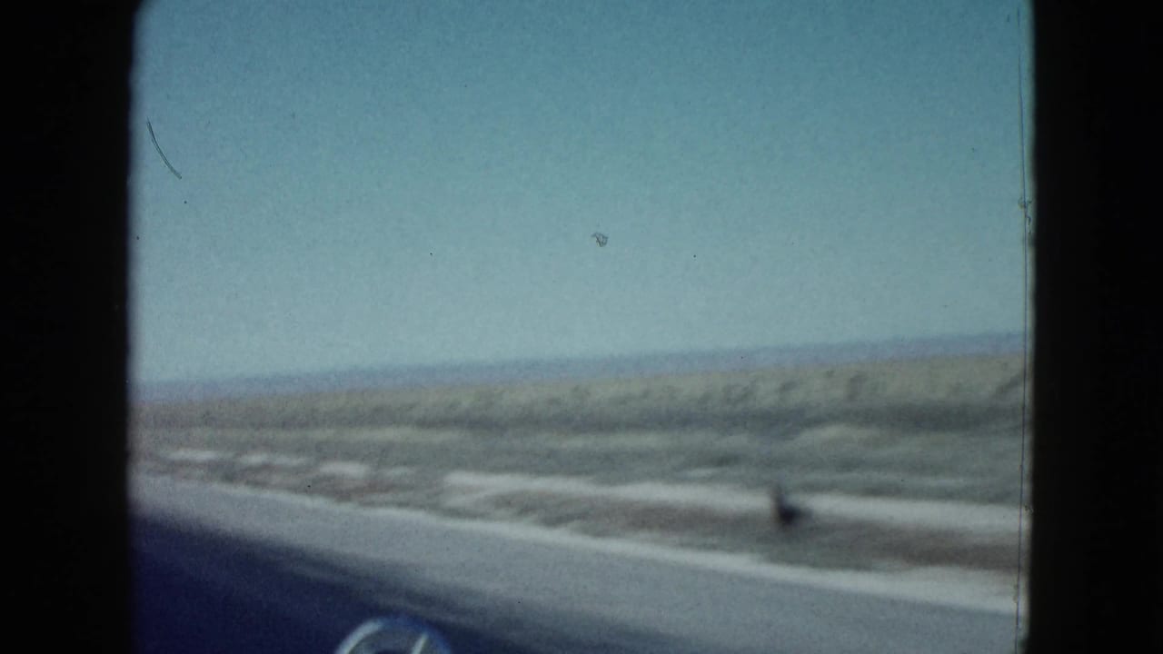 Desert highway and roadside scrub seen from inside a moving vehicle.