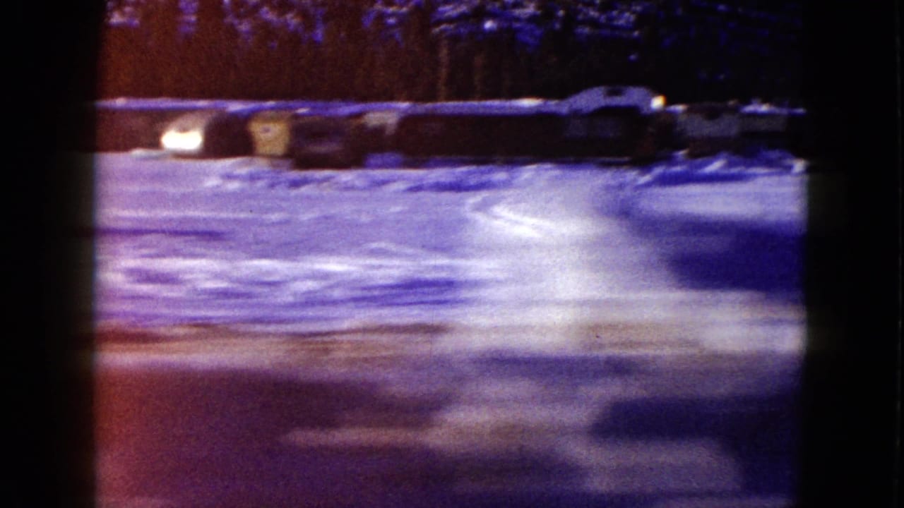 Blurred snow-covered road or open roadside area with dark trees beyond.