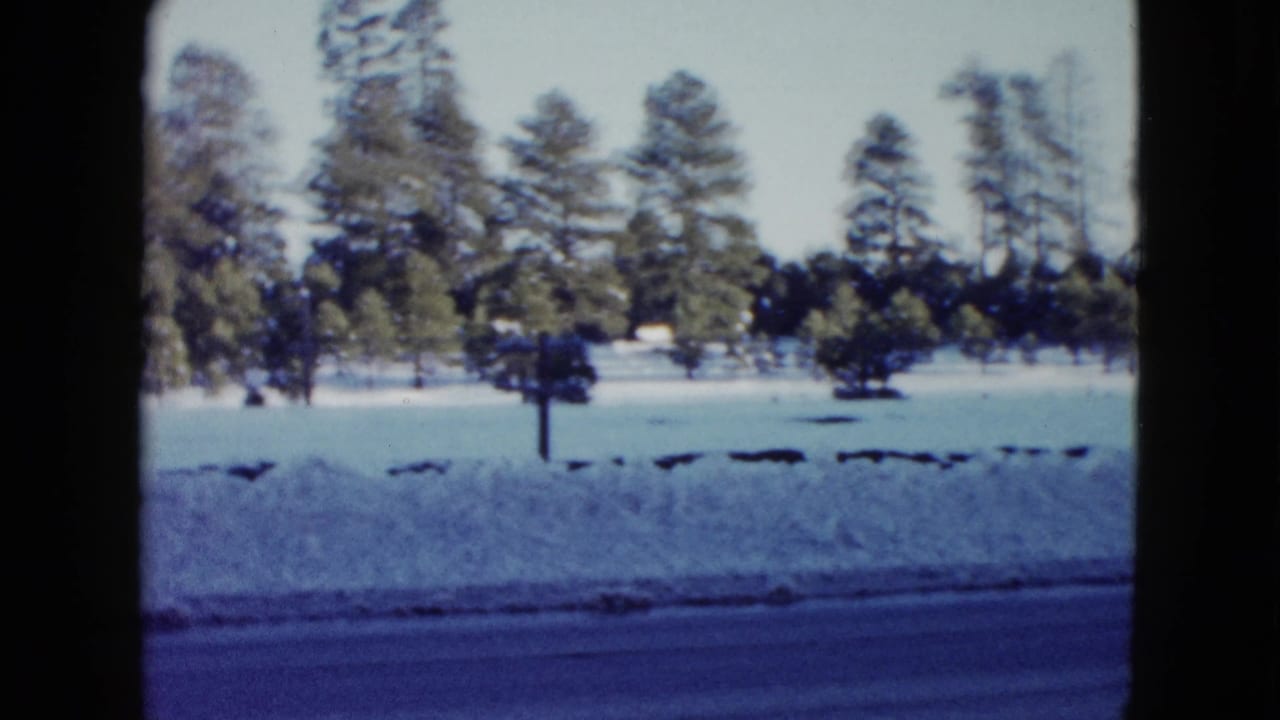 1958 8mm home-movie frame of a snow-covered rural roadside near Las Vegas, with evergreen trees beyond the road.