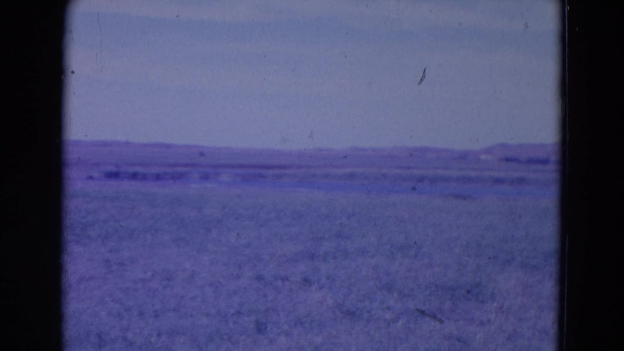 Open grassland under a pale blue sky with distant low hills and visible film edges.