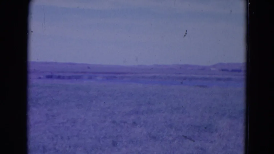 1958 8mm home-movie frame of open grassland near Omaha, Nebraska, with a distant horizon and cool purple-blue film cast.