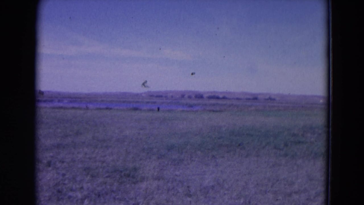 Open grassy landscape under a pale sky with distant water or low landforms.