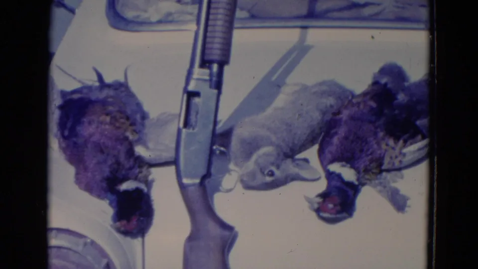 1958 8mm hunting-trip frame showing harvested game displayed beside a shotgun on a vehicle surface in the Omaha-area clip.