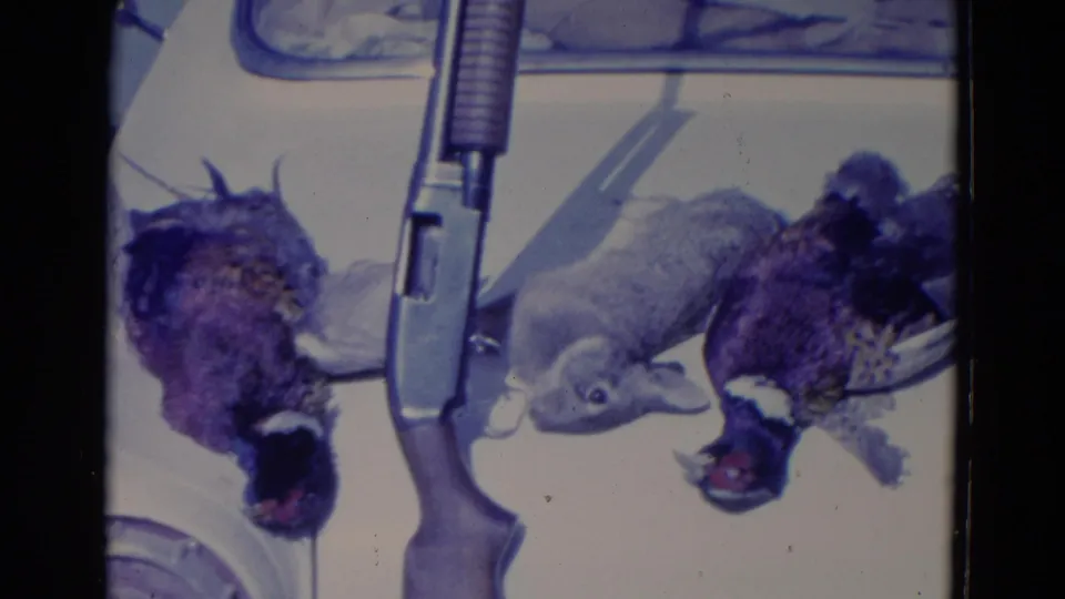 1958 Omaha-area 8mm frame showing a shotgun laid beside harvested game birds on a light surface, with strong film borders.