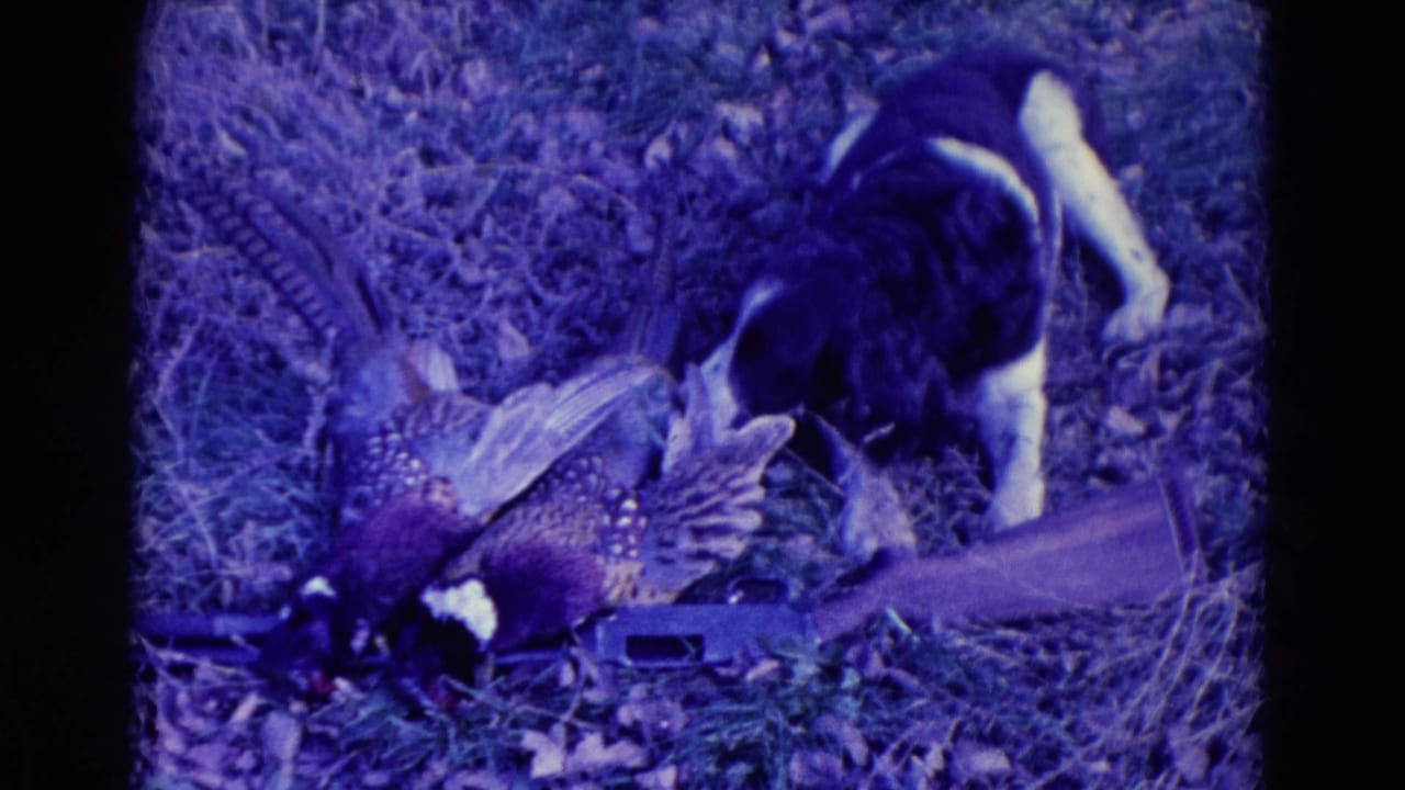 Large dog sniffing a dead peacock in grass and leaves.