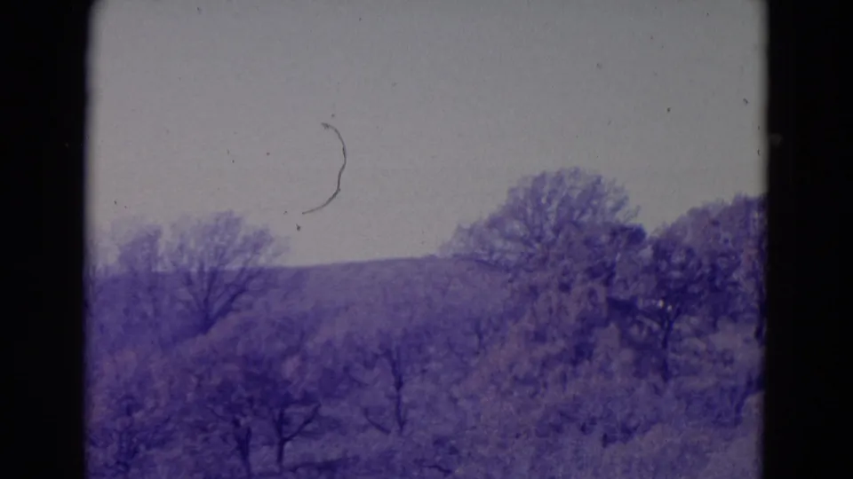 Purple-tinted 8mm frame of a rolling Omaha-area hillside with scattered trees, brush, and visible film scratches.