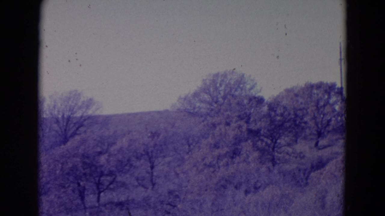 Bare trees and low hills under a pale sky in a purple-tinted rural landscape.