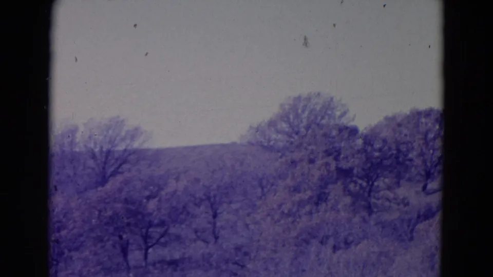 1958 Omaha-area home-movie frame with bare trees, brushy foreground, low hills, and a pale overcast sky.
