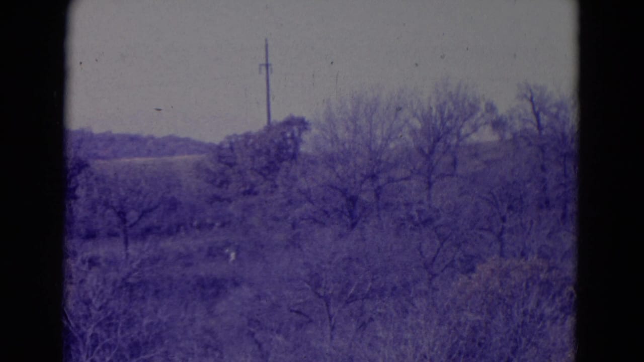 Rolling rural landscape with bare trees and a distant utility pole under a pale sky.