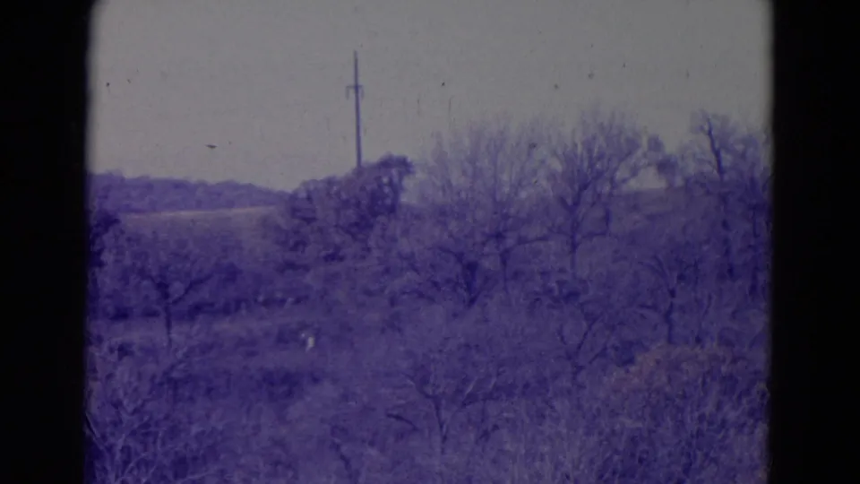 1958 8mm view near Omaha showing bare trees, brush, rolling fields, and a distant utility pole with purple-tinted film color.