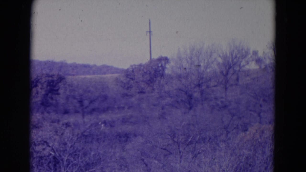 Bare trees and brush on rolling land with a utility pole in the distance.
