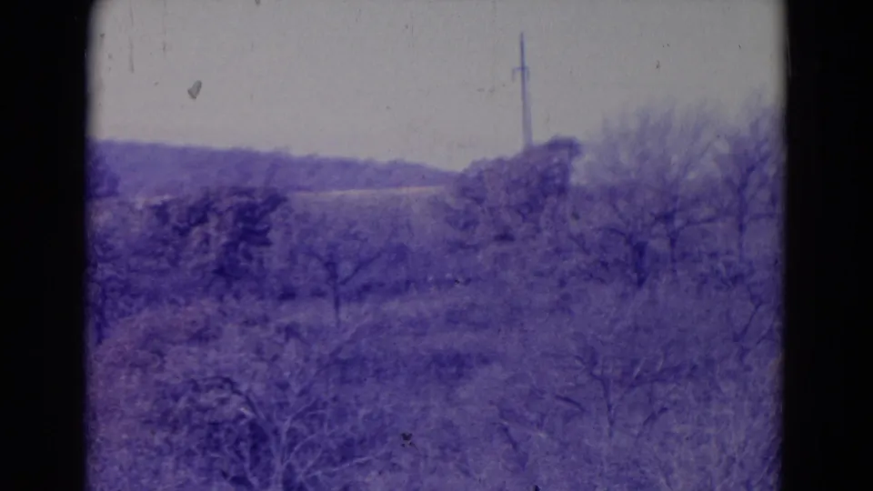 1958 home-movie frame near Omaha showing brushy foreground, bare trees, a field beyond, and a distant utility pole during a slow pan.
