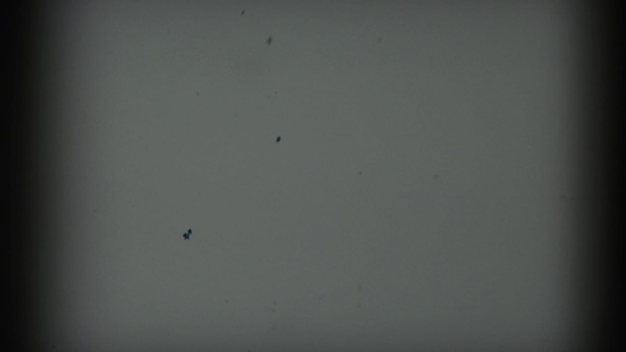 Pale blank projected film frame with dark borders and scattered dust specks.