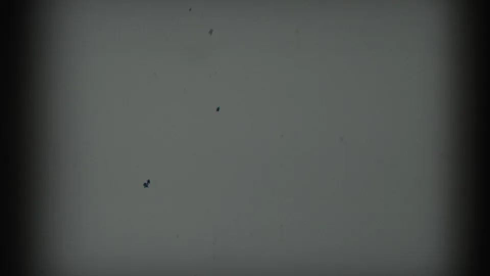 1958 Ontario 8mm home-movie frame showing a blank pale projection surface with dark gate edges and visible dust specks.