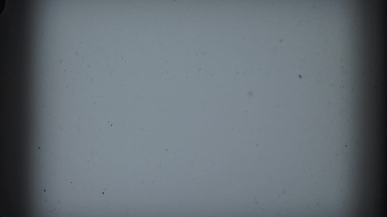 Blank grey-white film frame with a dark vertical border and light dust.
