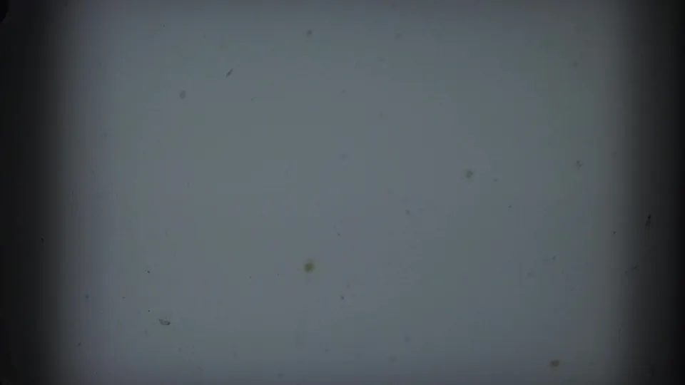 1958 Ontario 8mm frame showing a blank pale projection field with dark gate borders, light dust, and subdued film grain.
