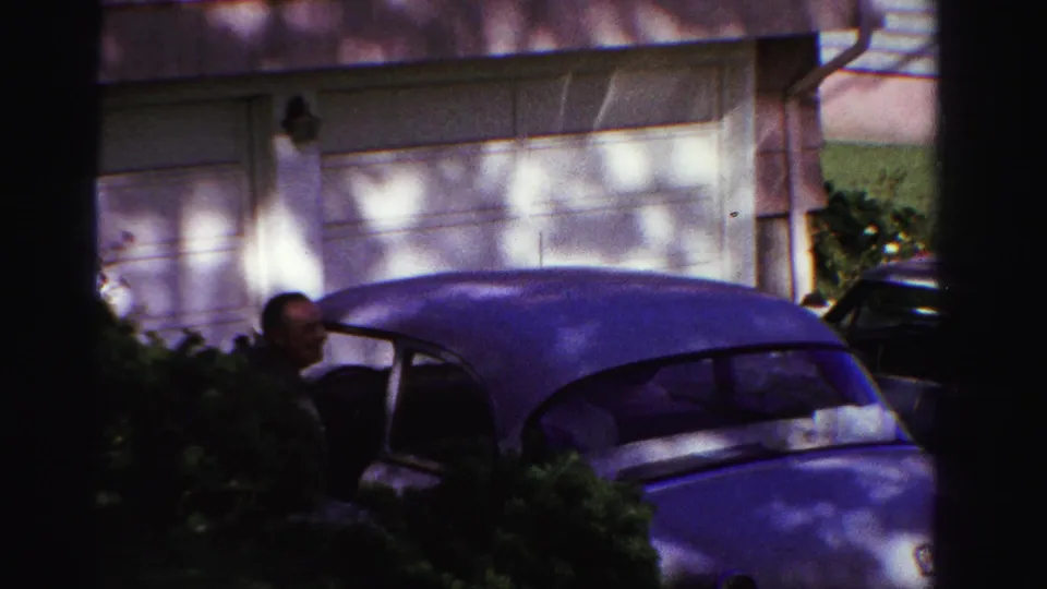 A man is partly obscured by shrubs while standing near a blue sedan in front of a garage.