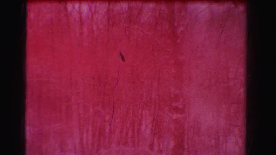 A red-tinted 8mm frame showing a wooded area with bare trees, heavy grain, scratches, and soft exposure.