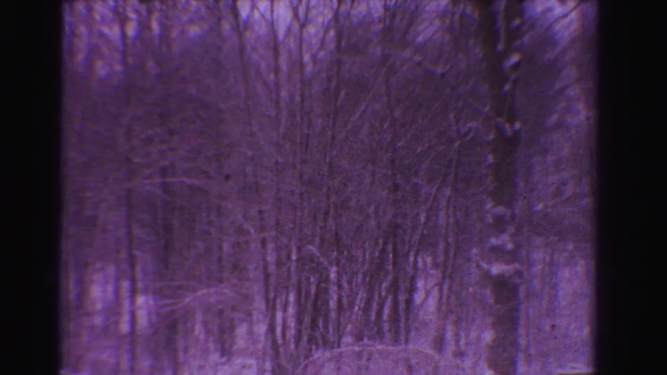 A blue-purple 8mm frame of a sparse wooded area with bare trunks, grain, and exposure variation.