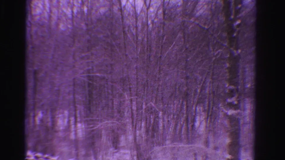 1958 Ontario 8mm frame showing bare snowy woods with a purple cast and no visible people.