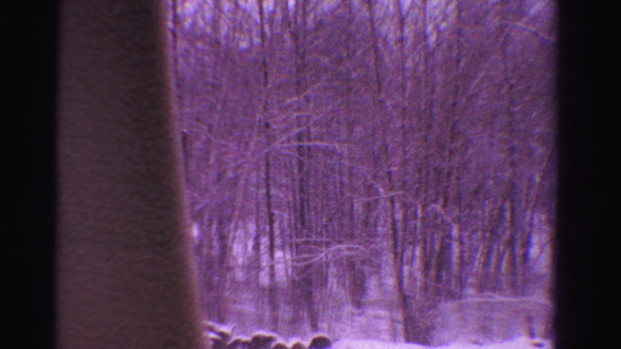 Snowy woods viewed through dark frame edges with bare trees and purple film cast.