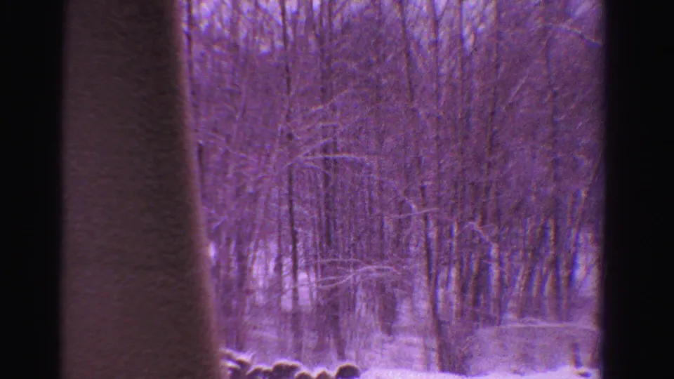 1958 Ontario winter woods seen on 8mm film, with bare trees, light snow, and heavy purple color shift.