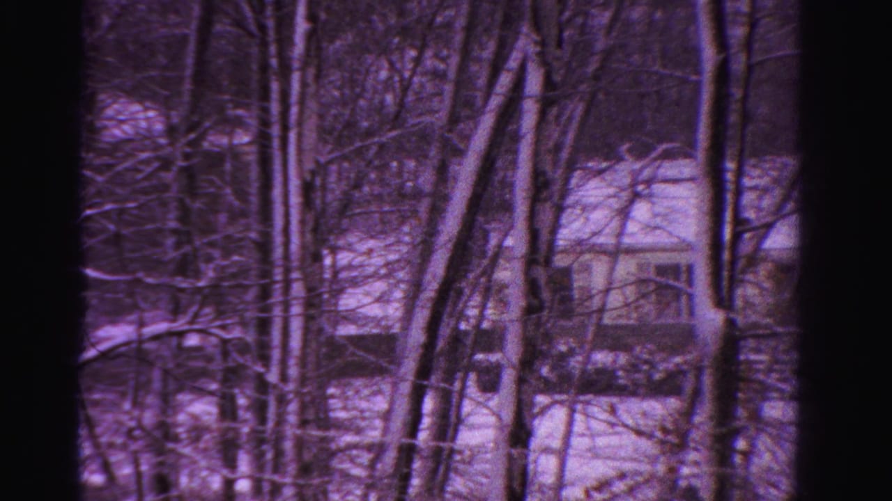 1958 Ontario 8mm frame showing snow-covered woods with leafless trees and a small house in the distance.