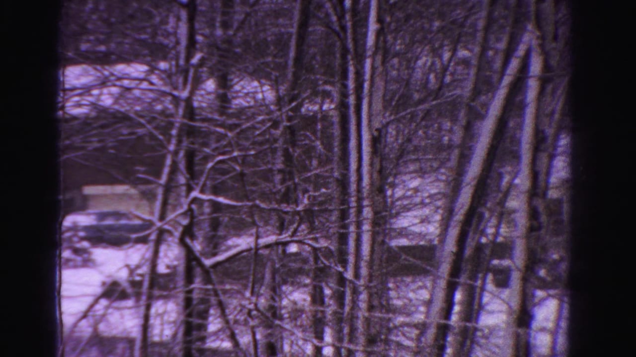 Bare trees and snow frame a parked car near a house.