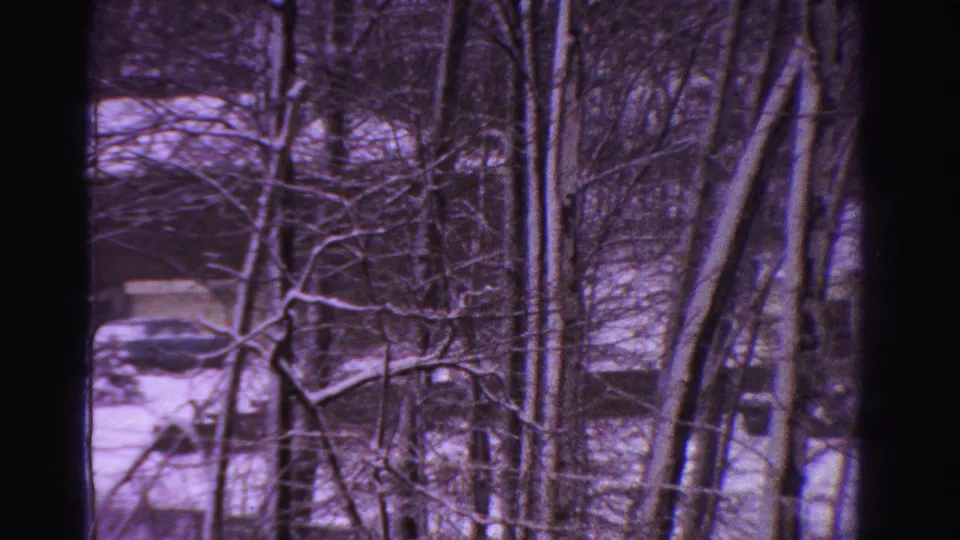 1958 Ontario winter woodland view with a parked car and house partly hidden behind branches.