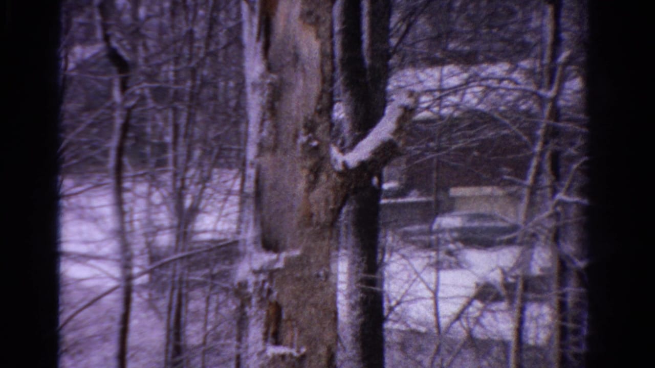 1958 Ontario 8mm frame showing winter trees, snow-covered ground, and a distant house partially obscured by branches.