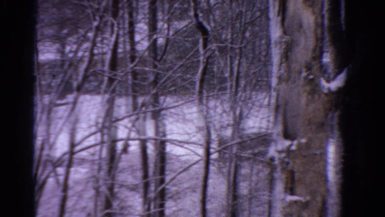Bare winter trees with snow on the ground and buildings faintly visible beyond.