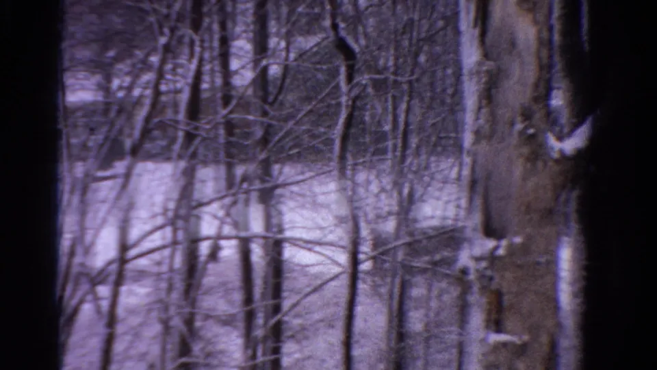 1958 Ontario home-movie frame with dense leafless branches, snowy ground, and distant structures seen through the woods.