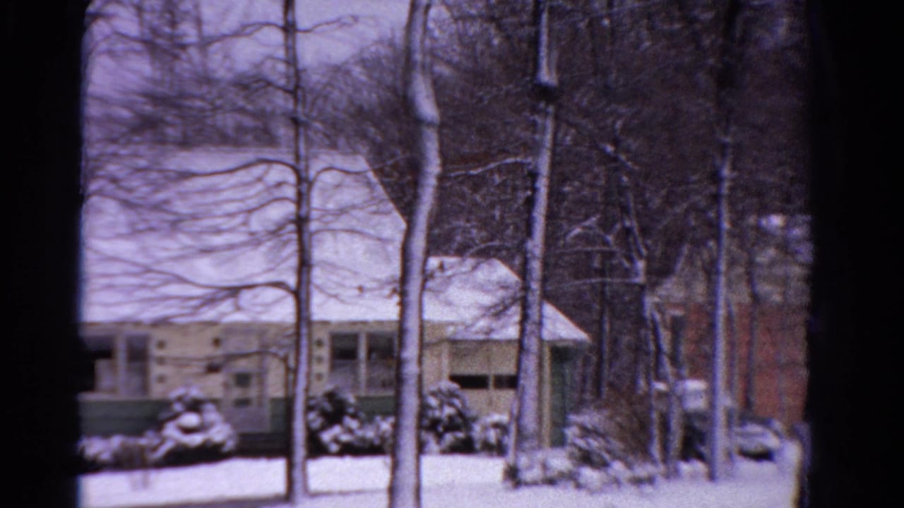 Snow-covered house and shrubs viewed through bare trees.