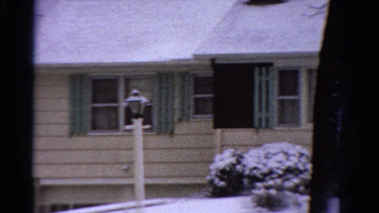 Snowy house facade with green shutters, lamppost, shrubs, and dark vertical window obstruction.