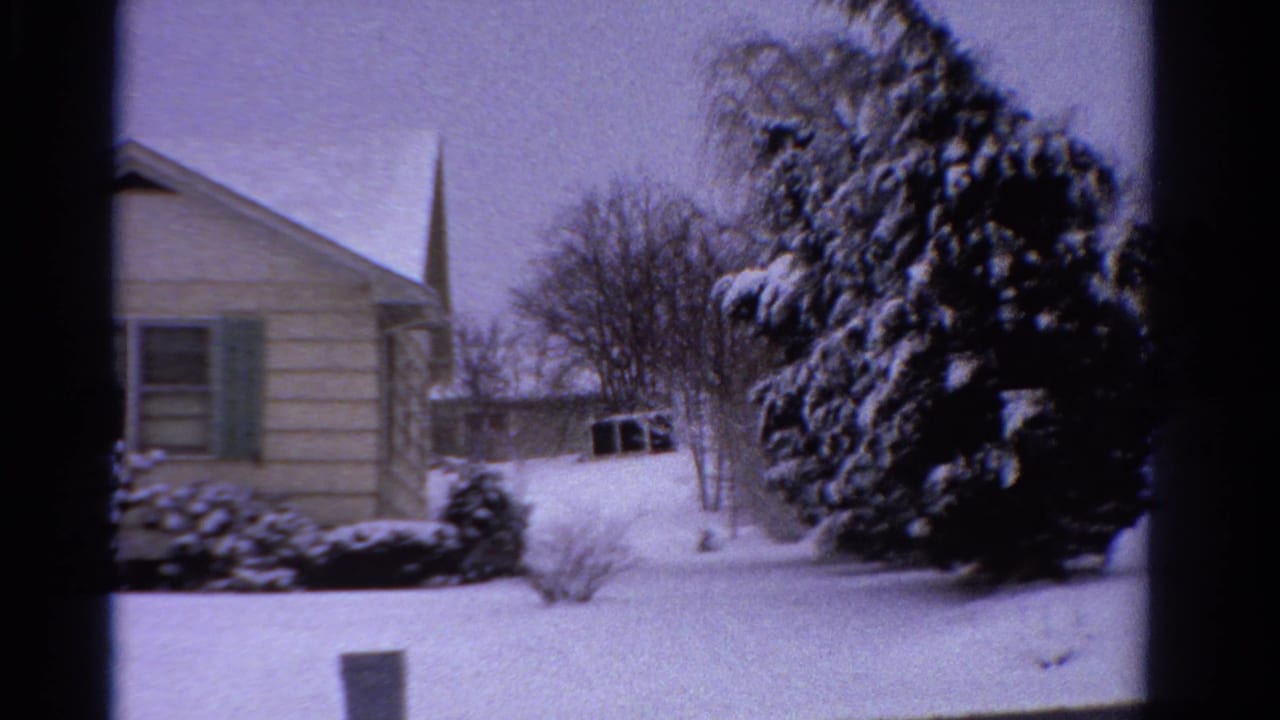 Snowy side of a house, evergreen shrub, bare trees, and a small structure in the distance.