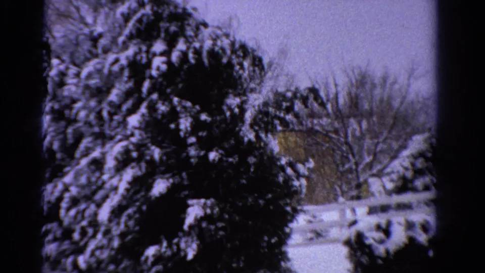 1958 Ontario 8mm frame showing a dense snow-covered evergreen, bare winter trees, and a pale fence or railing in the background.