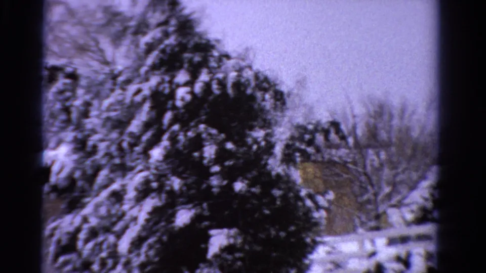 1958 Ontario home-movie frame with snow-heavy evergreen branches, bare trees, and a light fence or railing beyond the yard.