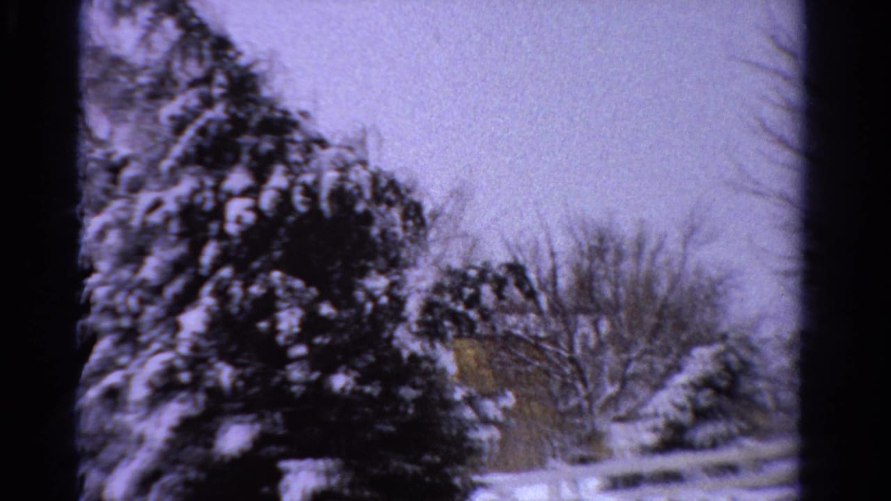 1958 Ontario 8mm frame showing snowy evergreens, bare branches, a pale sky, and a fence near a house partly hidden by trees.