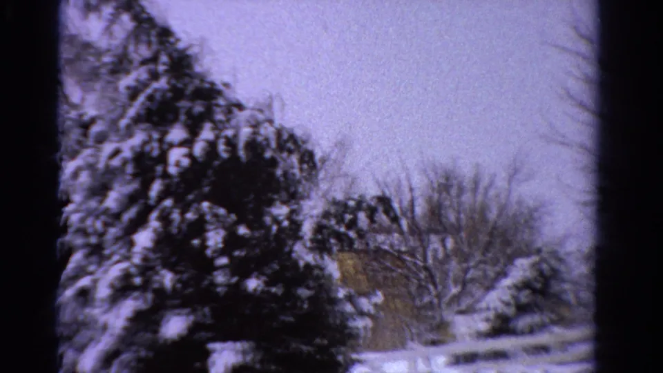 1958 Ontario 8mm frame showing snowy evergreens, bare branches, a pale sky, and a fence near a house partly hidden by trees.