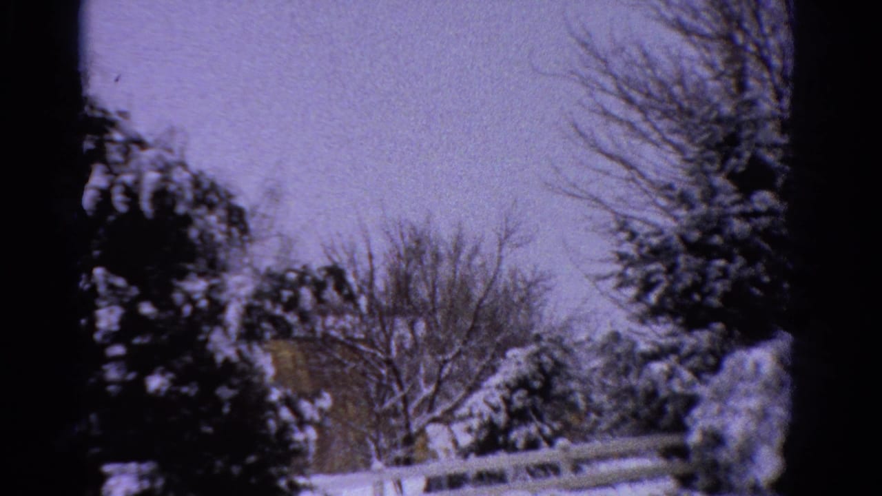 Snowy trees, fence, and partial house exterior in a winter yard.